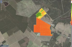 Syngenta