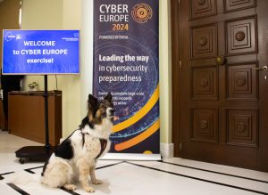 Cyber_Europe_3